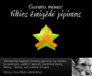 Gerumo mėnuo