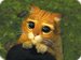 ILovePets