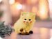KittyCaat